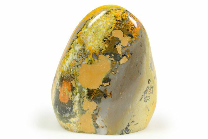 Free-Standing, Polished Bumblebee Jasper - Indonesia #261842